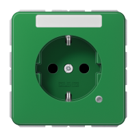 SCHUKO socket - JUNG (pavadinimas tikslinamas)