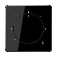 Centre plate with knob room thermostat - JUNG (pavadinimas tikslinamas)