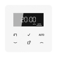 LB Management timer display - JUNG (pavadinimas tikslinamas)