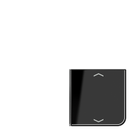 Cover 4-gang with sym. for button 1+4 - JUNG (pavadinimas tikslinamas)
