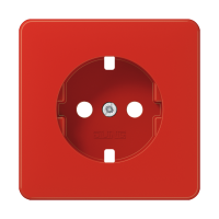 centre plate - JUNG (pavadinimas tikslinamas)
