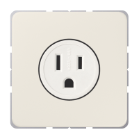 Us-Nema Socket 15A - JUNG (pavadinimas tikslinamas)