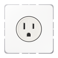 Us-Nema Socket 15A - JUNG (pavadinimas tikslinamas)