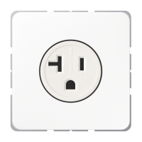 Us - Nema Socket 20 A - JUNG (pavadinimas tikslinamas)