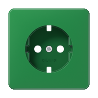 centre plate - JUNG (pavadinimas tikslinamas)