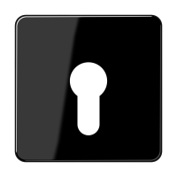 cover plate - JUNG (pavadinimas tikslinamas)