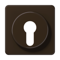 Cover For Key Switch - JUNG (pavadinimas tikslinamas)
