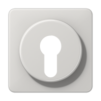 Cover For Key Switch - JUNG (pavadinimas tikslinamas)