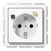 FI socket (RCD 30 mA) - JUNG (pavadinimas tikslinamas)