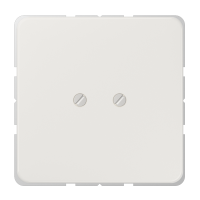 Blank Plate, Light Gr - JUNG (pavadinimas tikslinamas)