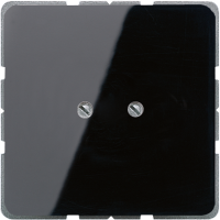 Blank Plate, Black - JUNG (pavadinimas tikslinamas)