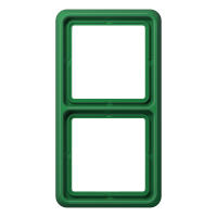 2-gang frame - JUNG (pavadinimas tikslinamas)