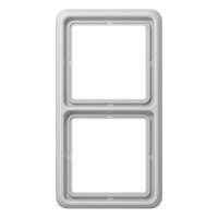 2-gang frame - JUNG (pavadinimas tikslinamas)