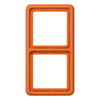 2-gang frame - JUNG (pavadinimas tikslinamas)