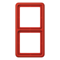 2-gang frame - JUNG (pavadinimas tikslinamas)