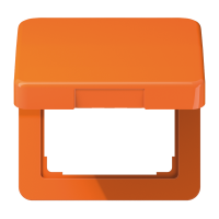 centre plate with hinged lid - JUNG (pavadinimas tikslinamas)