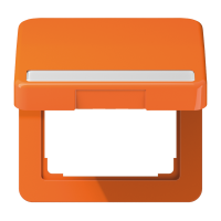 c.plate w.hinged lid/ inscrip. plate - JUNG (pavadinimas tikslinamas)