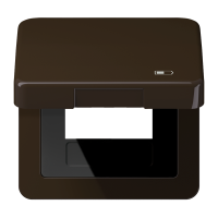 Hinged lid USB with centre plate - JUNG (pavadinimas tikslinamas)