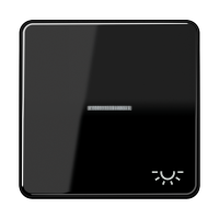 1-gang rocker w.symbol light&trans. lens - JUNG (pavadinimas tikslinamas)