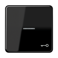 1-gang rocker w. symbol door"/trans.lens - JUNG (pavadinimas tikslinamas)