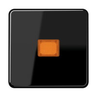 1-gang rocker with orange lens - JUNG (pavadinimas tikslinamas)