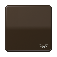 1-gang rocker w.symbol light - JUNG (pavadinimas tikslinamas)