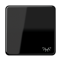 1-gang rocker w.symbol light - JUNG (pavadinimas tikslinamas)