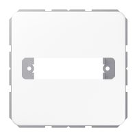 centre plate for subminiature D-socket - JUNG (pavadinimas tikslinamas)
