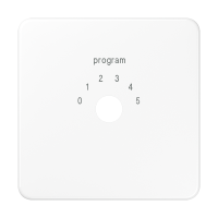 centre plate for channel selector switch - JUNG (pavadinimas tikslinamas)