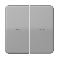 2-gang rocker - JUNG (pavadinimas tikslinamas)