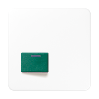 Cover plate for Ackermann - JUNG (pavadinimas tikslinamas)