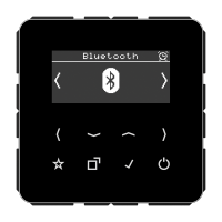 digital radio DAB+ with bluetooth - JUNG (pavadinimas tikslinamas)