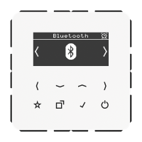 digital radio DAB+ with bluetooth - JUNG (pavadinimas tikslinamas)