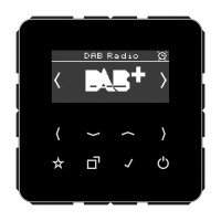 digital radio DAB+ - JUNG (pavadinimas tikslinamas)