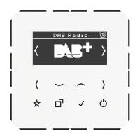 digital radio DAB+ - JUNG (pavadinimas tikslinamas)