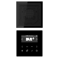 Digital radio DAB + set mono - JUNG (pavadinimas tikslinamas)