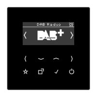 digital radio DAB+ - JUNG (pavadinimas tikslinamas)