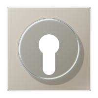 centre plate f. key switch - JUNG (pavadinimas tikslinamas)
