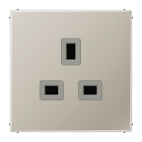BS socket - JUNG (pavadinimas tikslinamas)