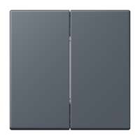 Friends of Hue radio transmitter LC4320U - JUNG (pavadinimas tikslinamas)