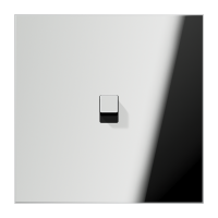 Centre plate 1-gang 1 toggle - JUNG (pavadinimas tikslinamas)