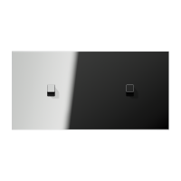 Centre plate 2-gang horiz. 1+1 toggle - JUNG (pavadinimas tikslinamas)
