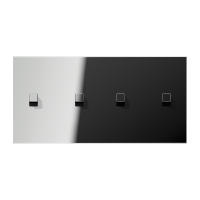Centre plate 2-gang horiz. 2+2 toggle - JUNG (pavadinimas tikslinamas)