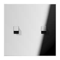 Centre plate 1-gang 2 toggle - JUNG (pavadinimas tikslinamas)