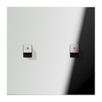 Centre plate 1-gang w. 2 toggle for IL - JUNG (pavadinimas tikslinamas)