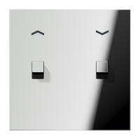 Centre plate 1-gang "arrows" 2 toggle - JUNG (pavadinimas tikslinamas)