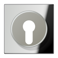 centre plate for key switch - JUNG (pavadinimas tikslinamas)
