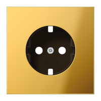 centre plate - JUNG (pavadinimas tikslinamas)
