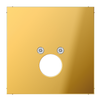 centre plate - JUNG (pavadinimas tikslinamas)