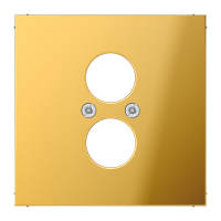 centre plate - JUNG (pavadinimas tikslinamas)